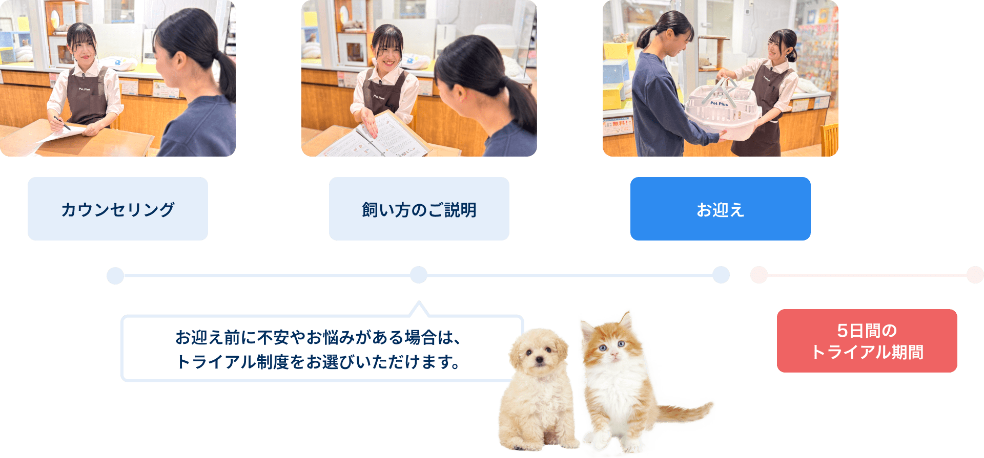 まずカウンセリングを行い、次に飼い方のご説明を行います。お迎え前に不安やお悩みがある場合は、トライアル制度をお選びいただけます。その後お迎えとなり、お迎えした日からトライアルがスタートします。