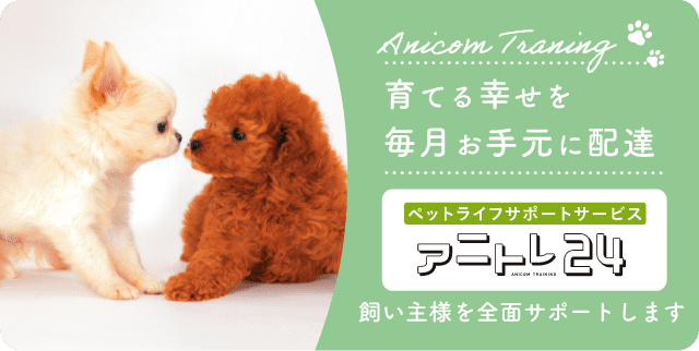 育てる幸せを毎月お手元に配達。ペットライフサポートサービス、アニトレ24。飼い主様を全面サポートします。