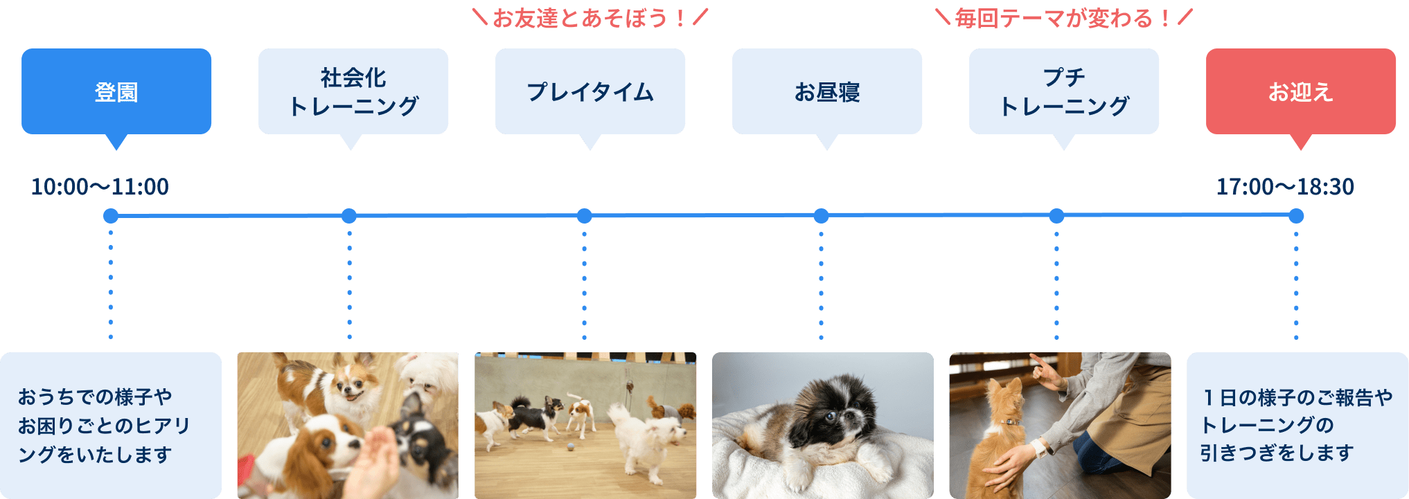 10時から11時の間に登園。おうちでの様子やお困りごとのヒアリングをいたします。次に社会化トレーニング、お友達と遊ぶプレイタイム、お昼寝、毎回テーマが変わるプチトレーニングがあります。17時から19時30分の間にお迎えにきていただき、1日の様子のご報告やトレーニングの引きつぎをします