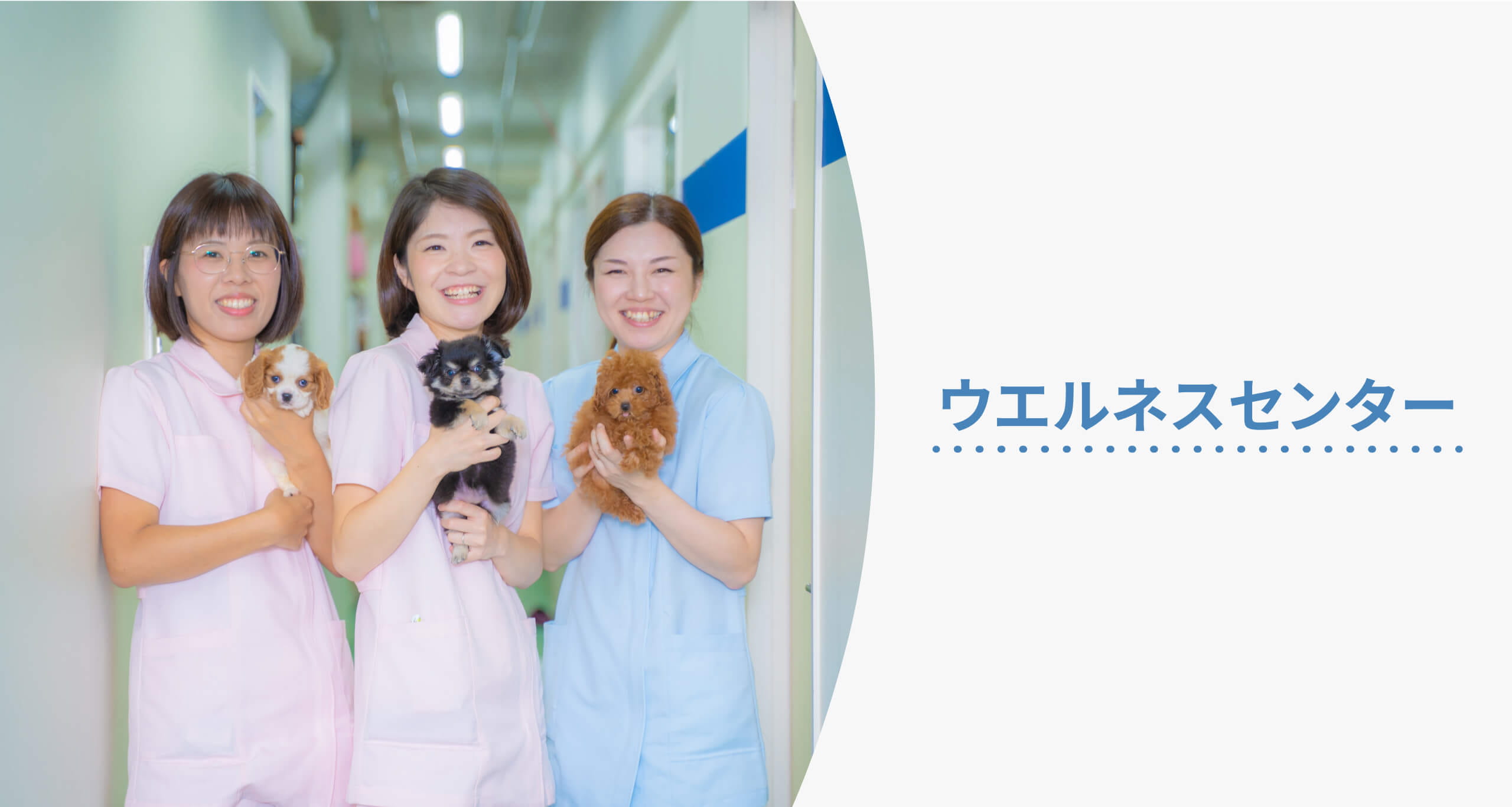 ウエルネスセンター