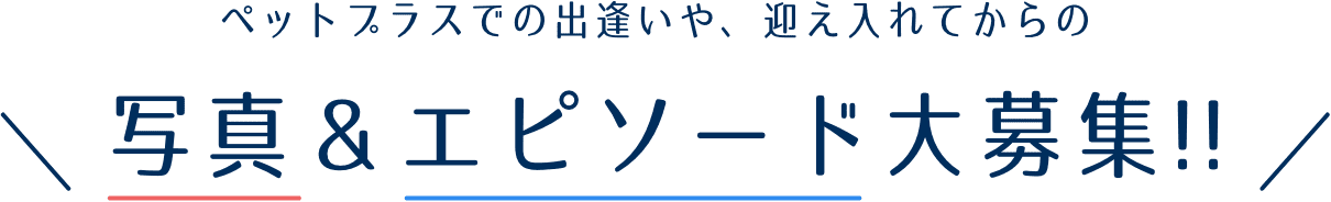 ペットプラスでの出逢いや、迎え入れてからの写真＆エピソード大募集!!