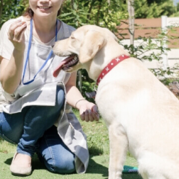 B様（30代/女性）