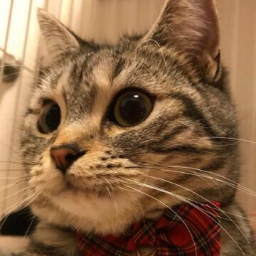 小福ちゃん/ふーママ様