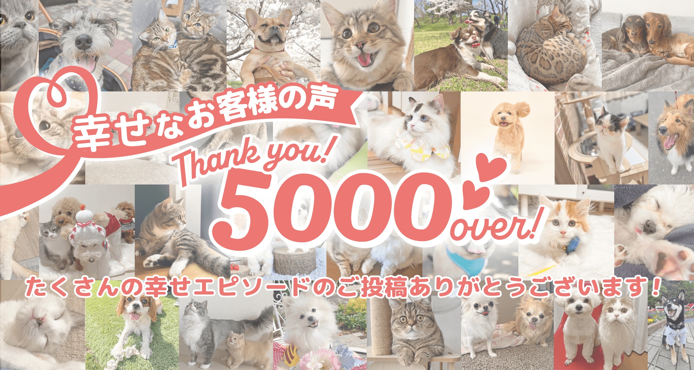 幸せなお客様の声5000件突破