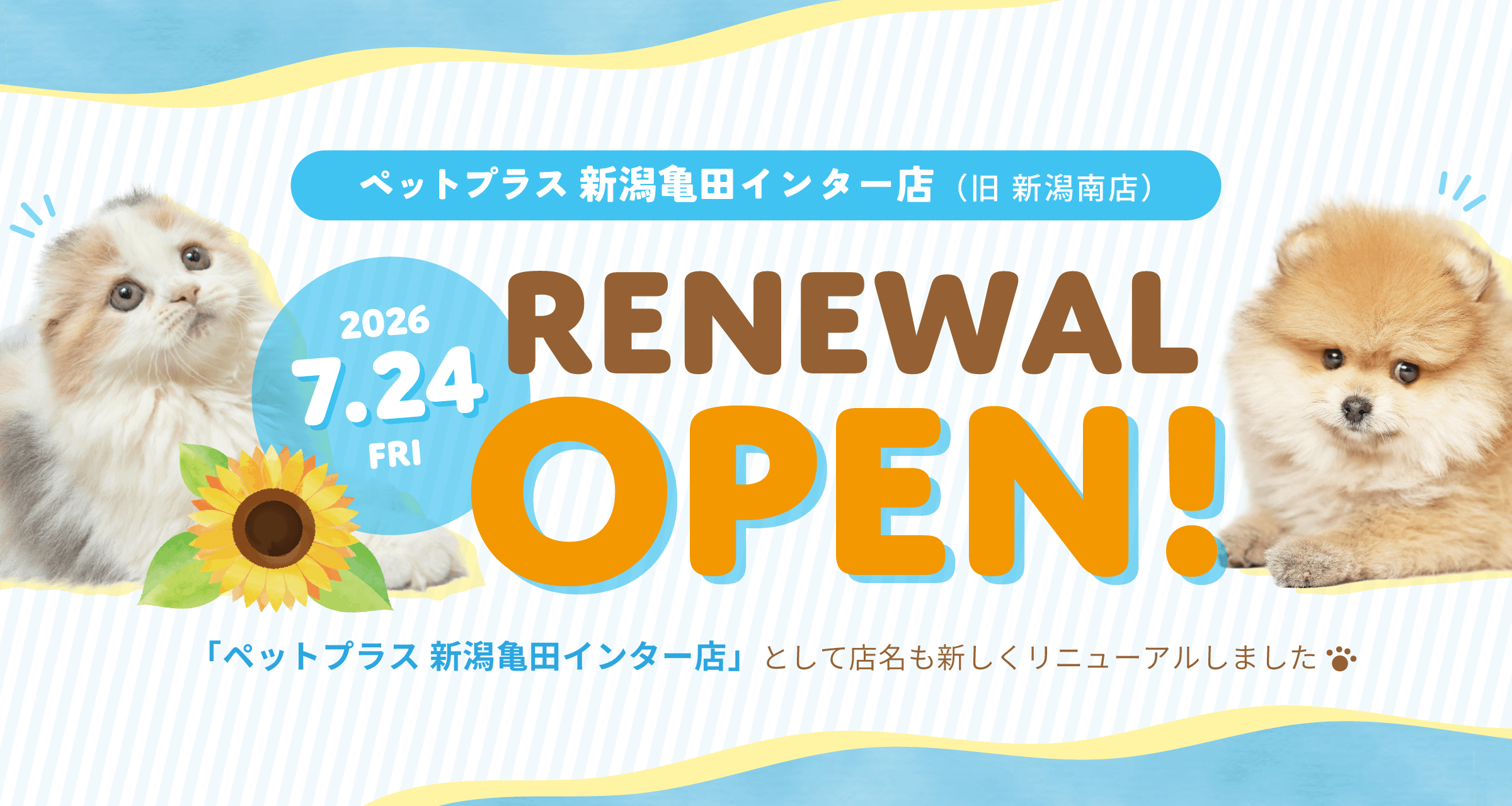 新潟亀田インター店リニューアルオープン