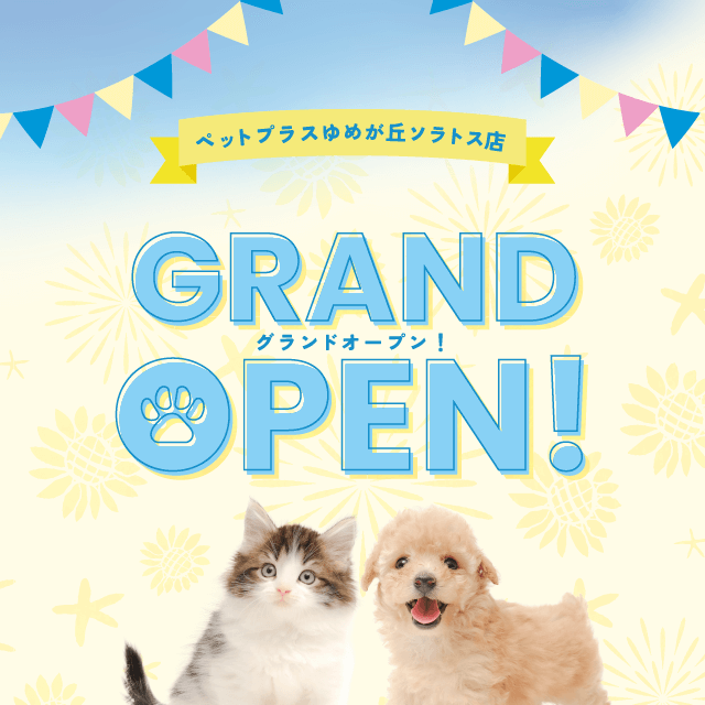 2024年7月25日(木)ペットプラスゆめが丘ソラトス店GRAND OPEN!