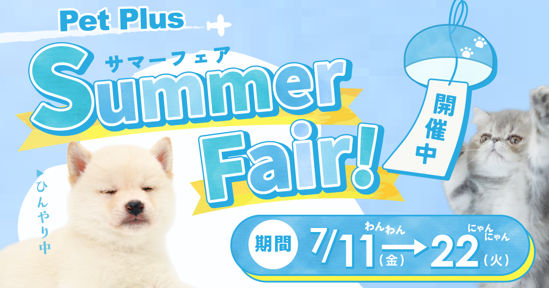 対象店舗限定！ サマーフェア開催のお知らせ