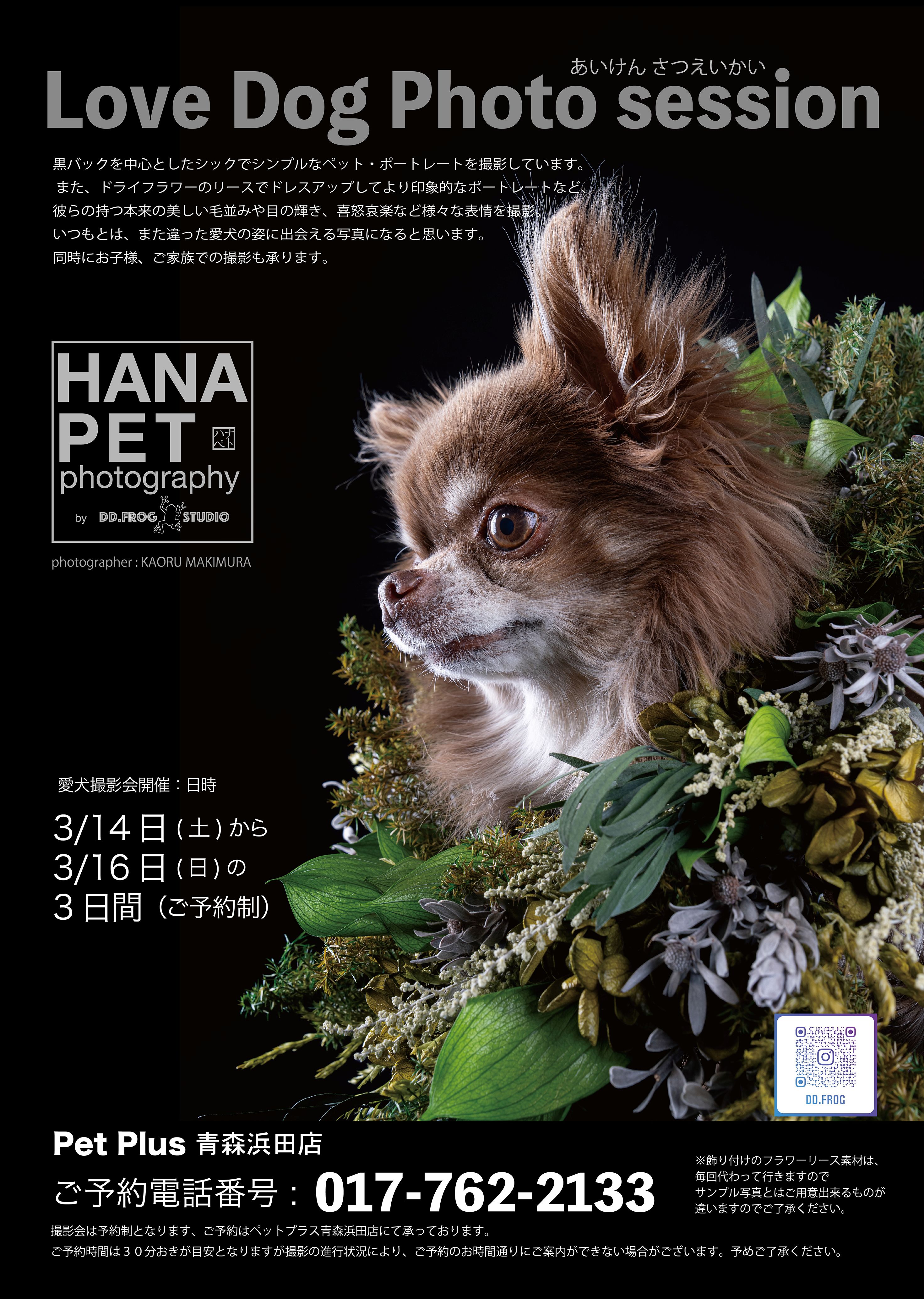 【2026年春開催予定】ワンランク上のペット撮影会！予約受付スタート！