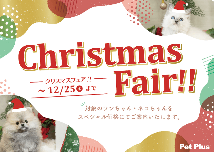 クリスマスフェア開催中！