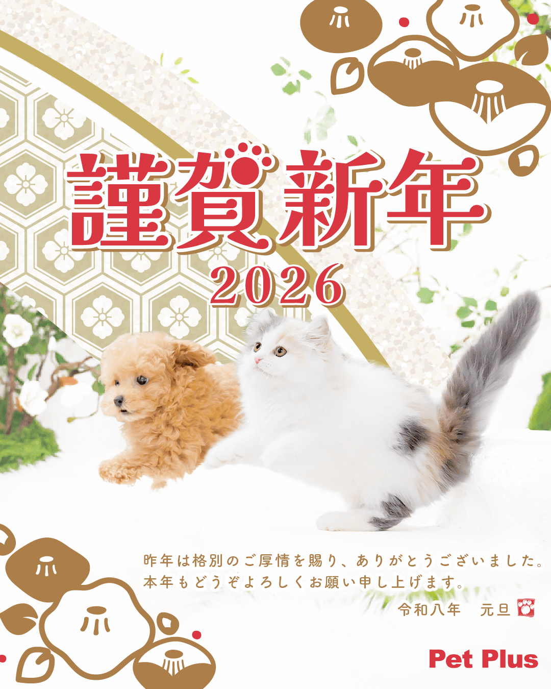 新年明けましておめでとうございます