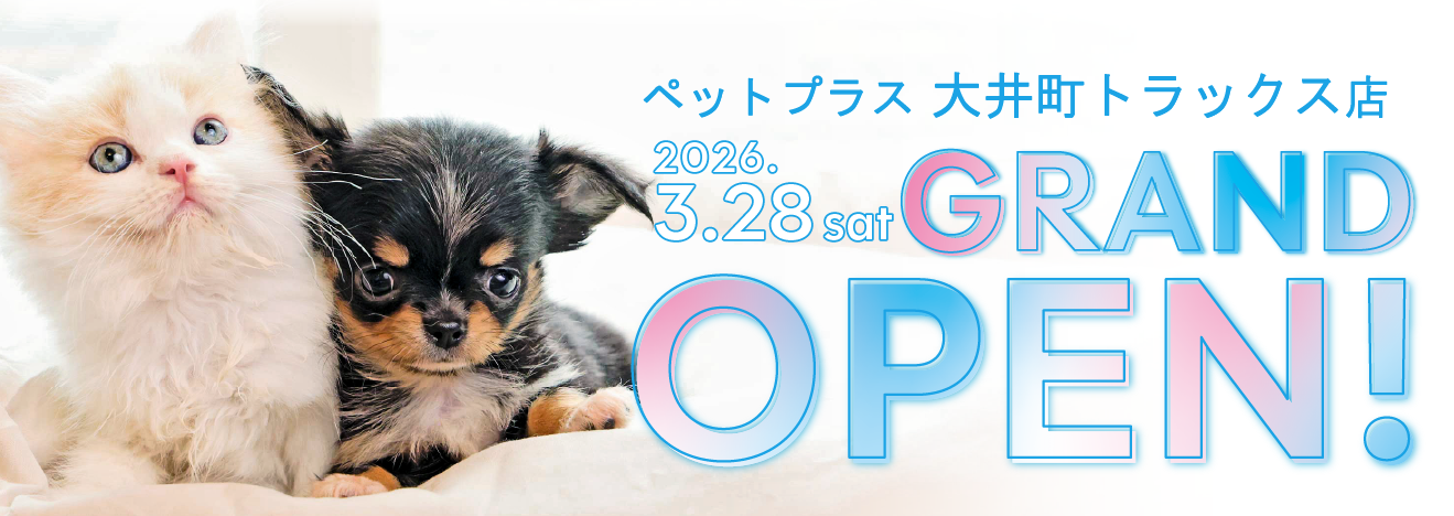 2026年3月28日(土) ペットプラス 大井町トラックス店 GRAND OPEN!