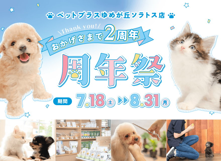 ゆめが丘ソラトス店 周年祭開催のお知らせ