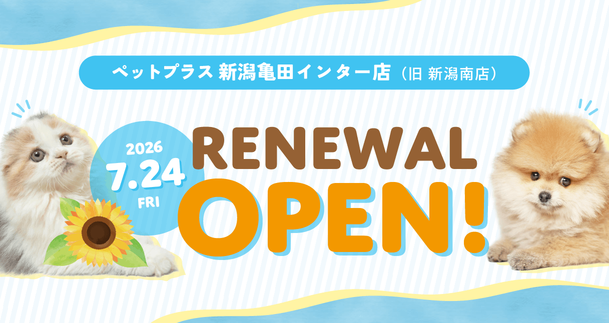 2026年7月24日(金) ペットプラス新潟亀田インター店(旧 新潟南店)  リニューアルオープン!