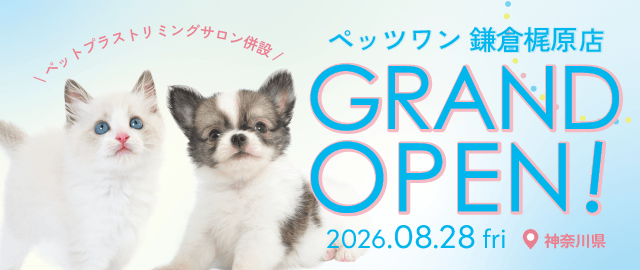 2026年8月28日(金) ペッツワン 鎌倉梶原店 GRAND OPEN!