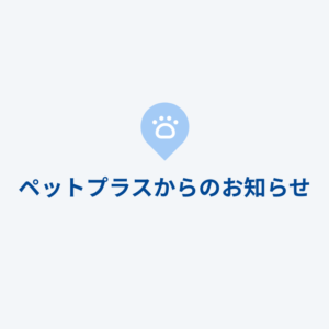 【重要】9月1日以降のワンちゃん・ネコちゃんの店舗間移動ルール変更について