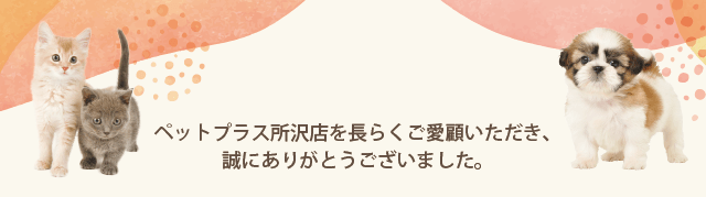 ペットプラス 所沢店　閉店に伴うフェア開催のお知らせ
