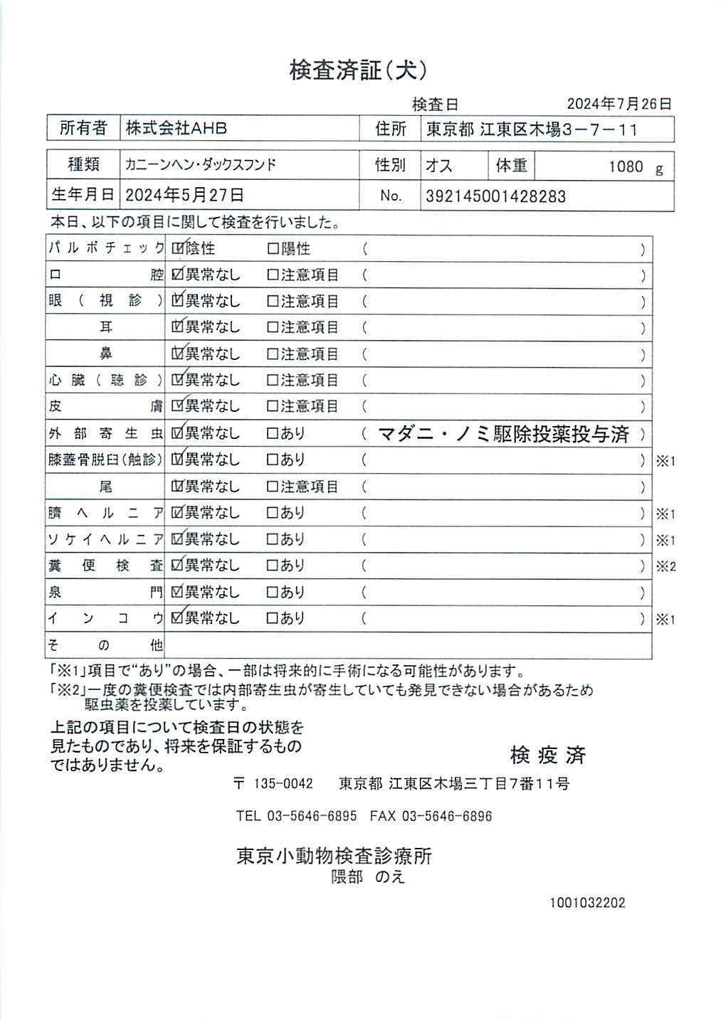 カニーンヘン・ダックスフンド