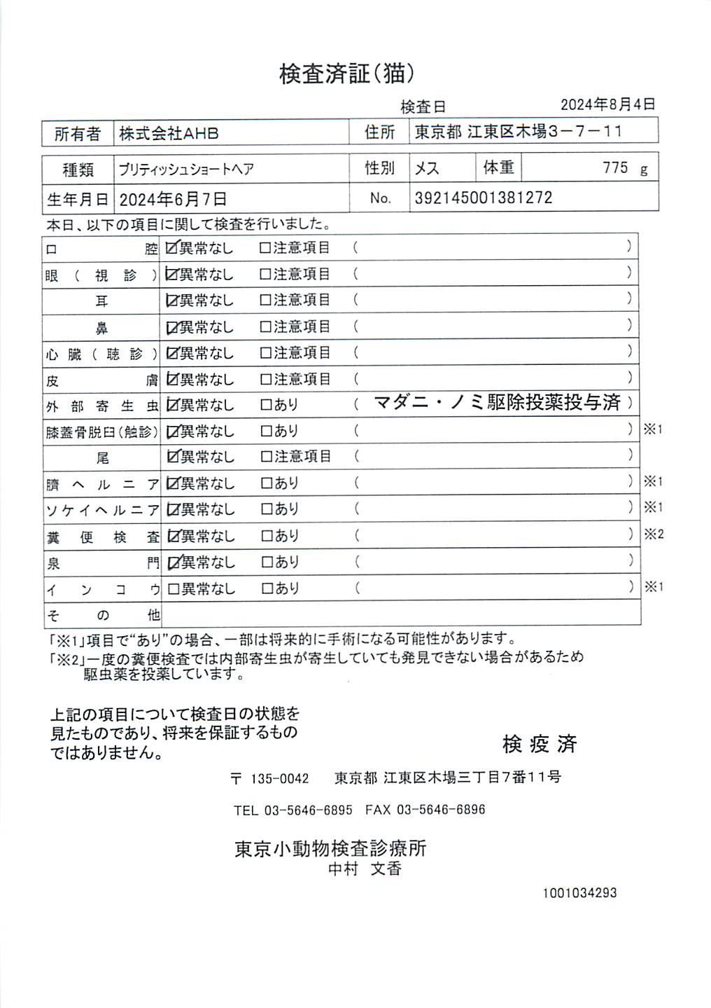 ブリティッシュショートヘア