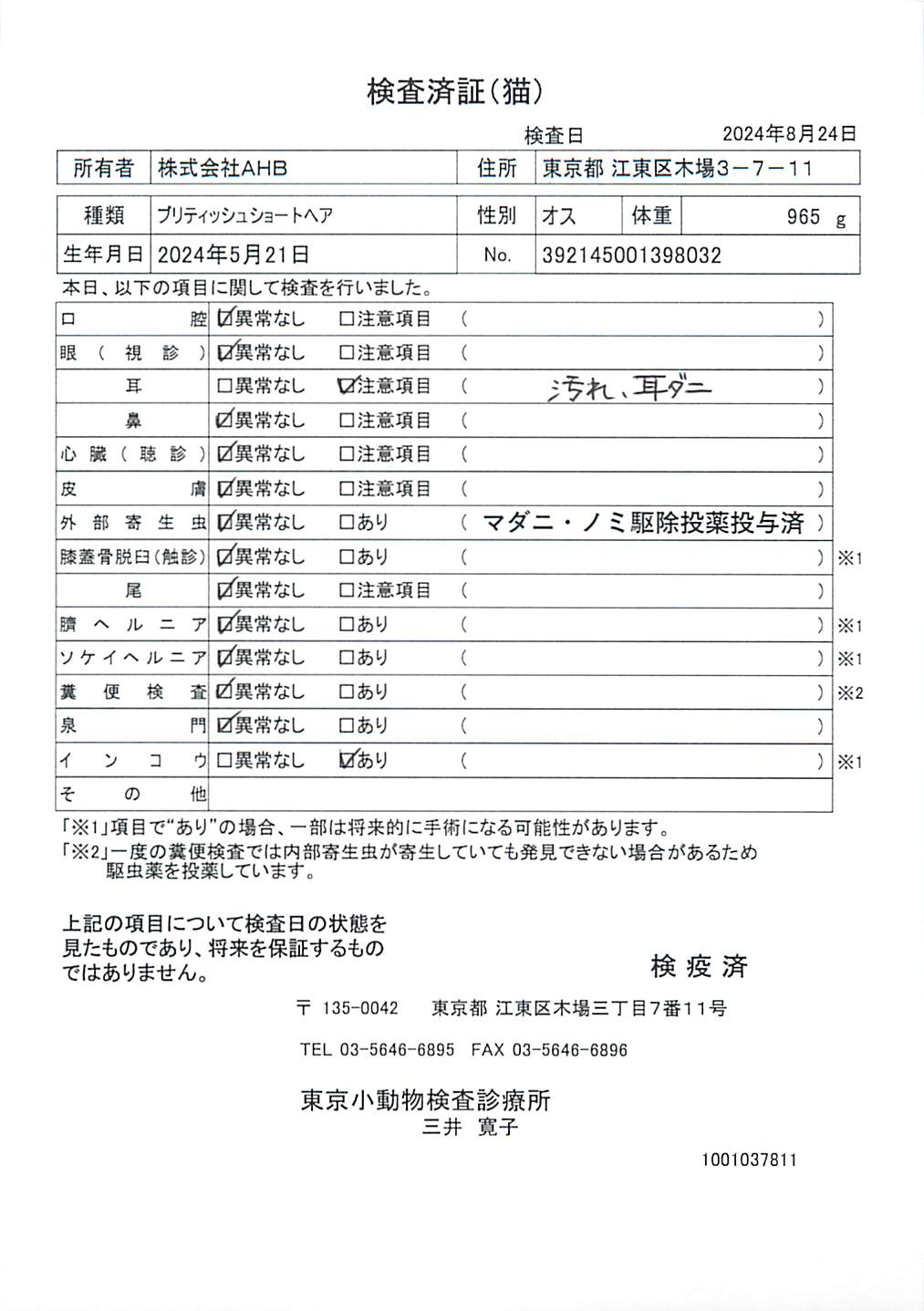 ブリティッシュショートヘア