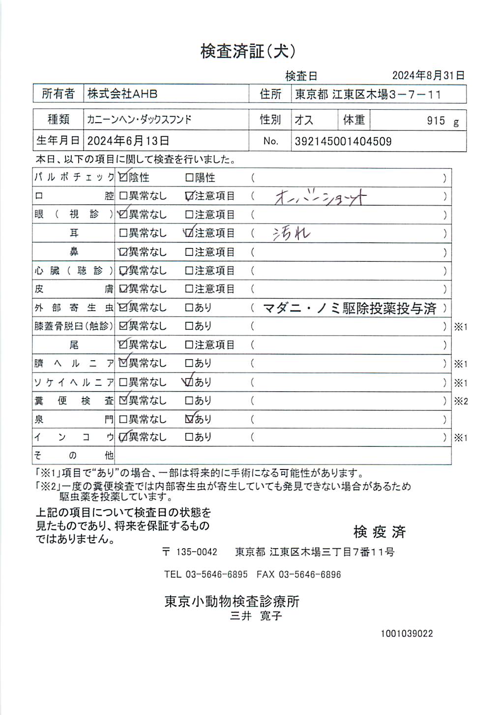 カニーンヘン・ダックスフンド