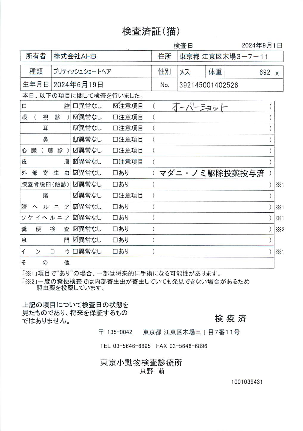 ブリティッシュショートヘア