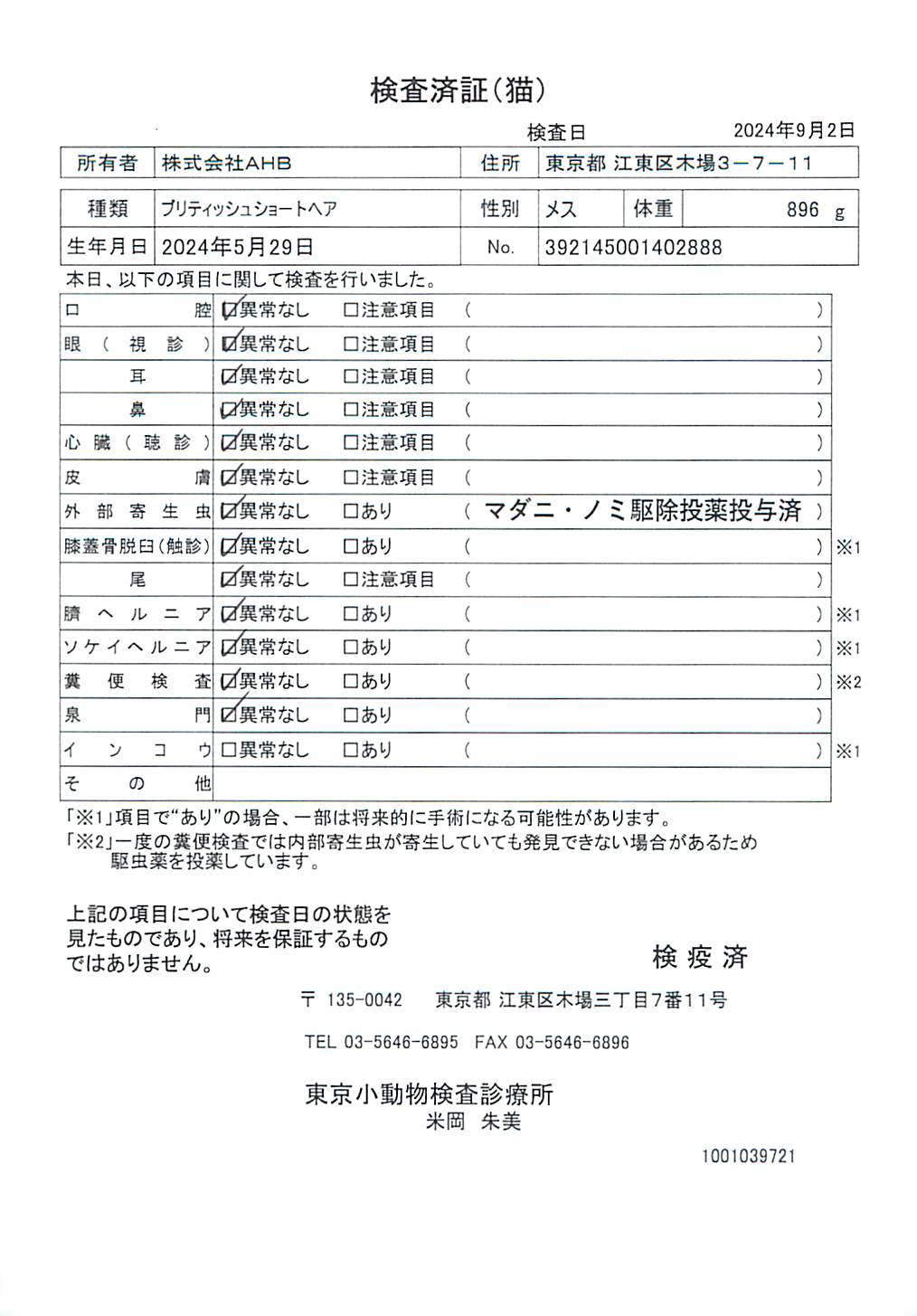 ブリティッシュショートヘア