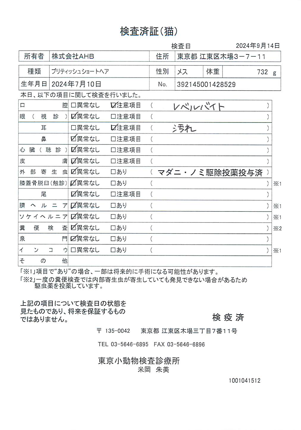 ブリティッシュショートヘア