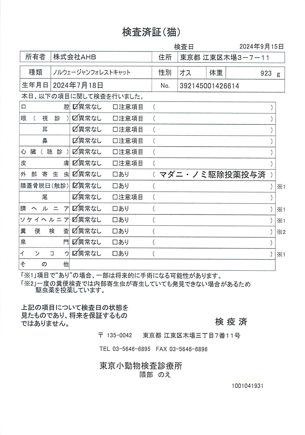 ノルウェージャンフォレストキャット