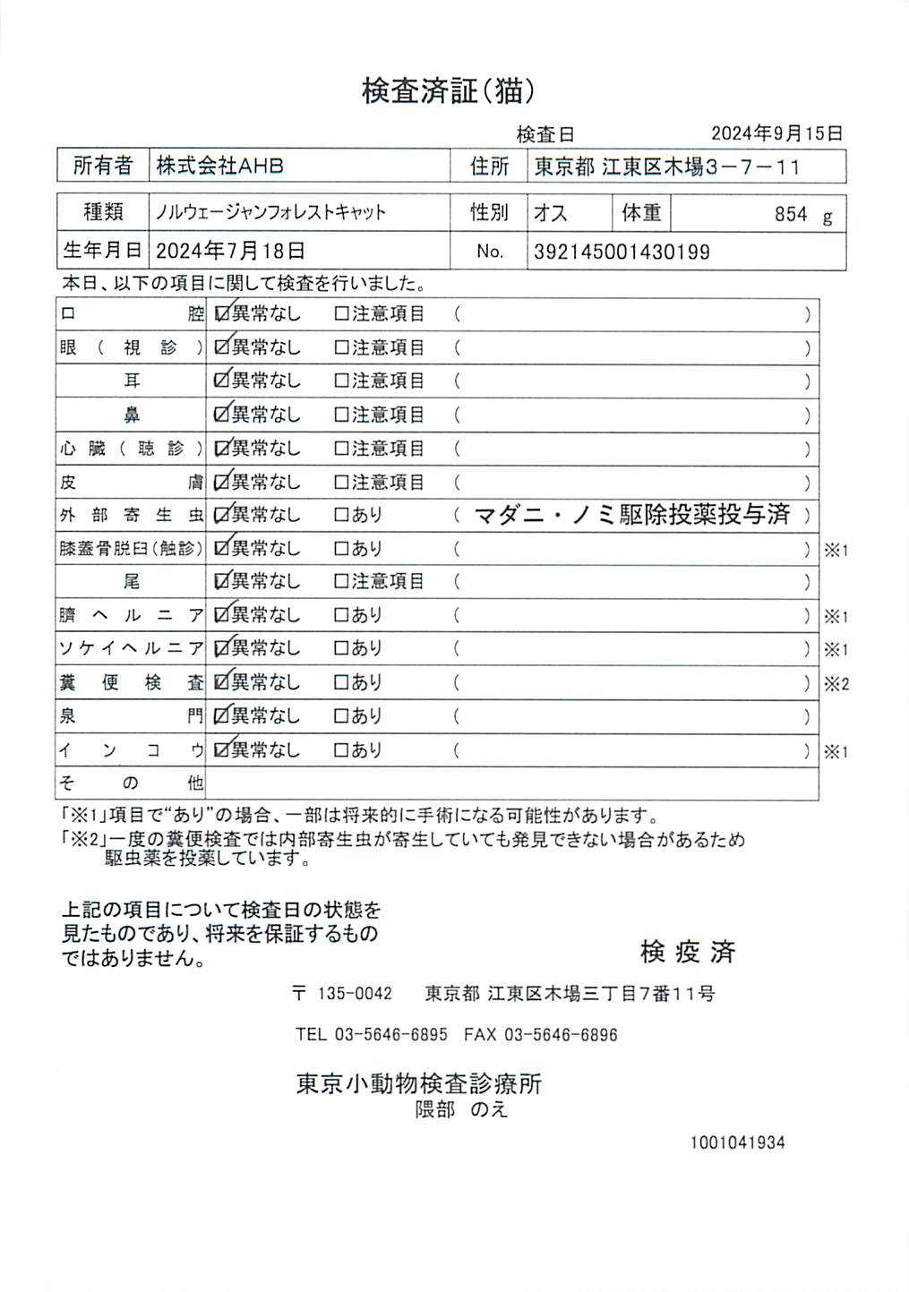 ノルウェージャンフォレストキャット