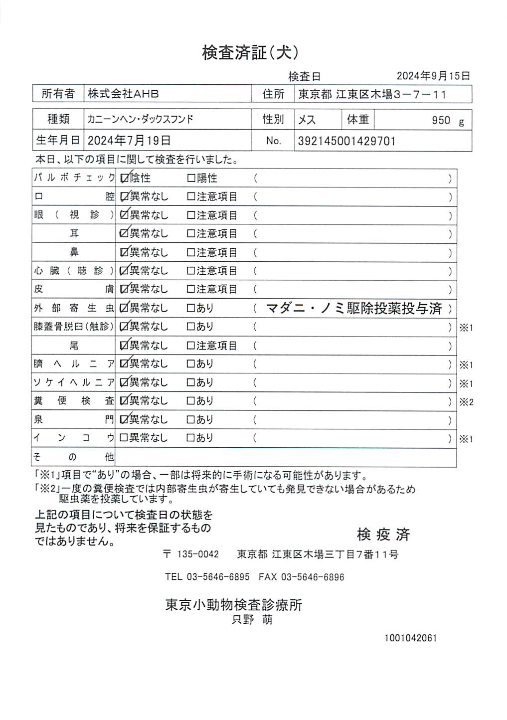 カニーンヘン・ダックスフンド