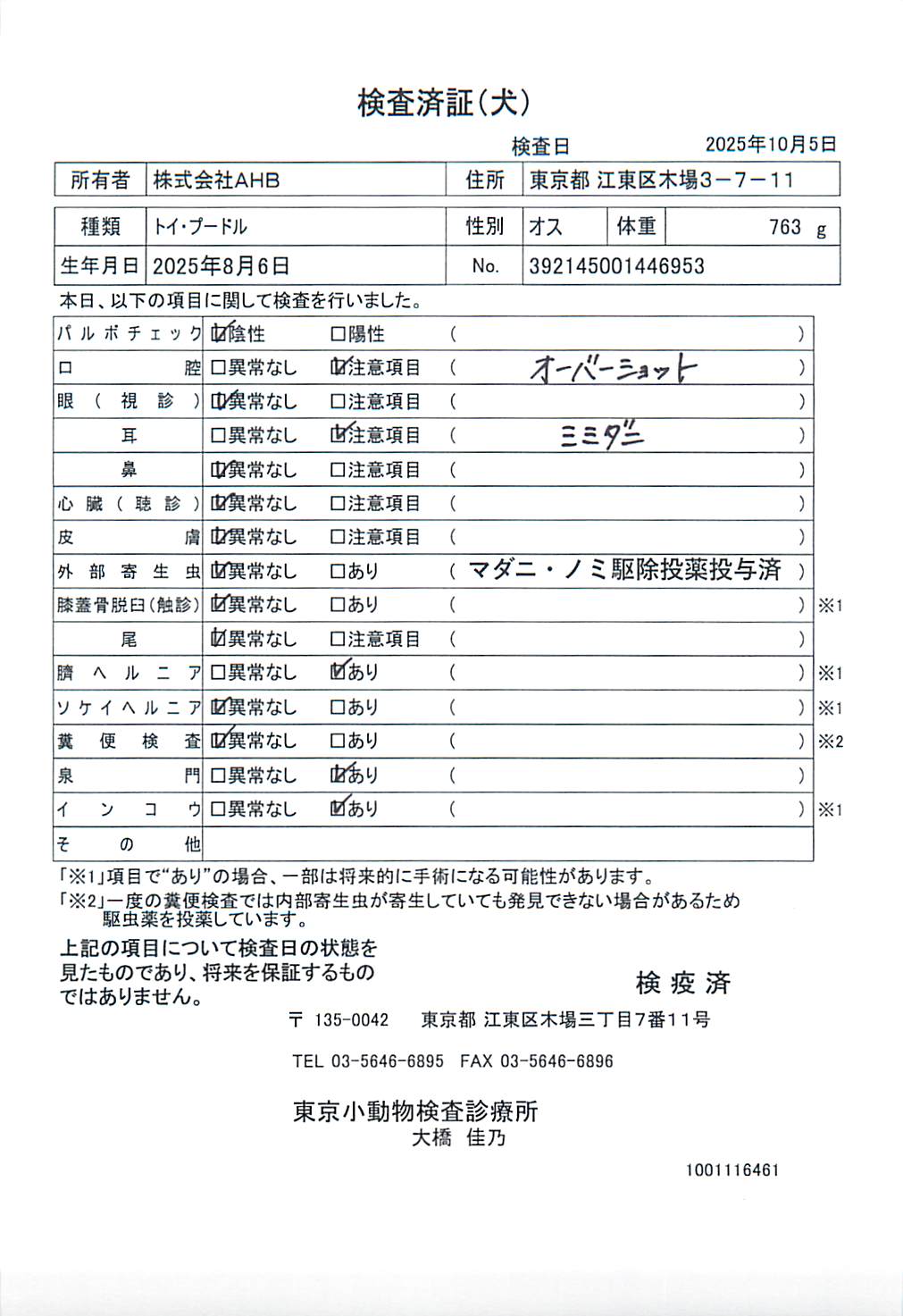 トイ・プードル