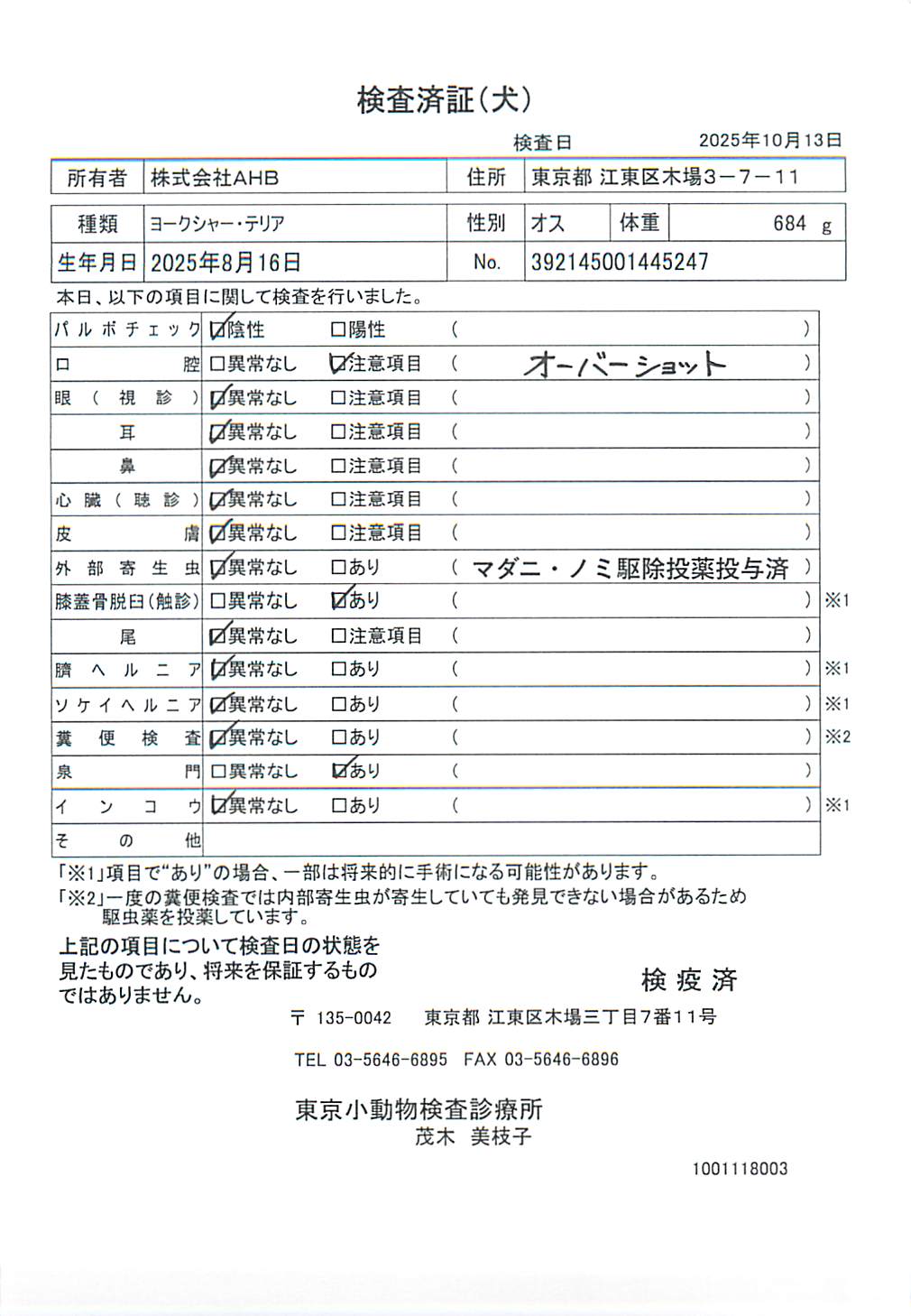 ヨークシャー・テリア