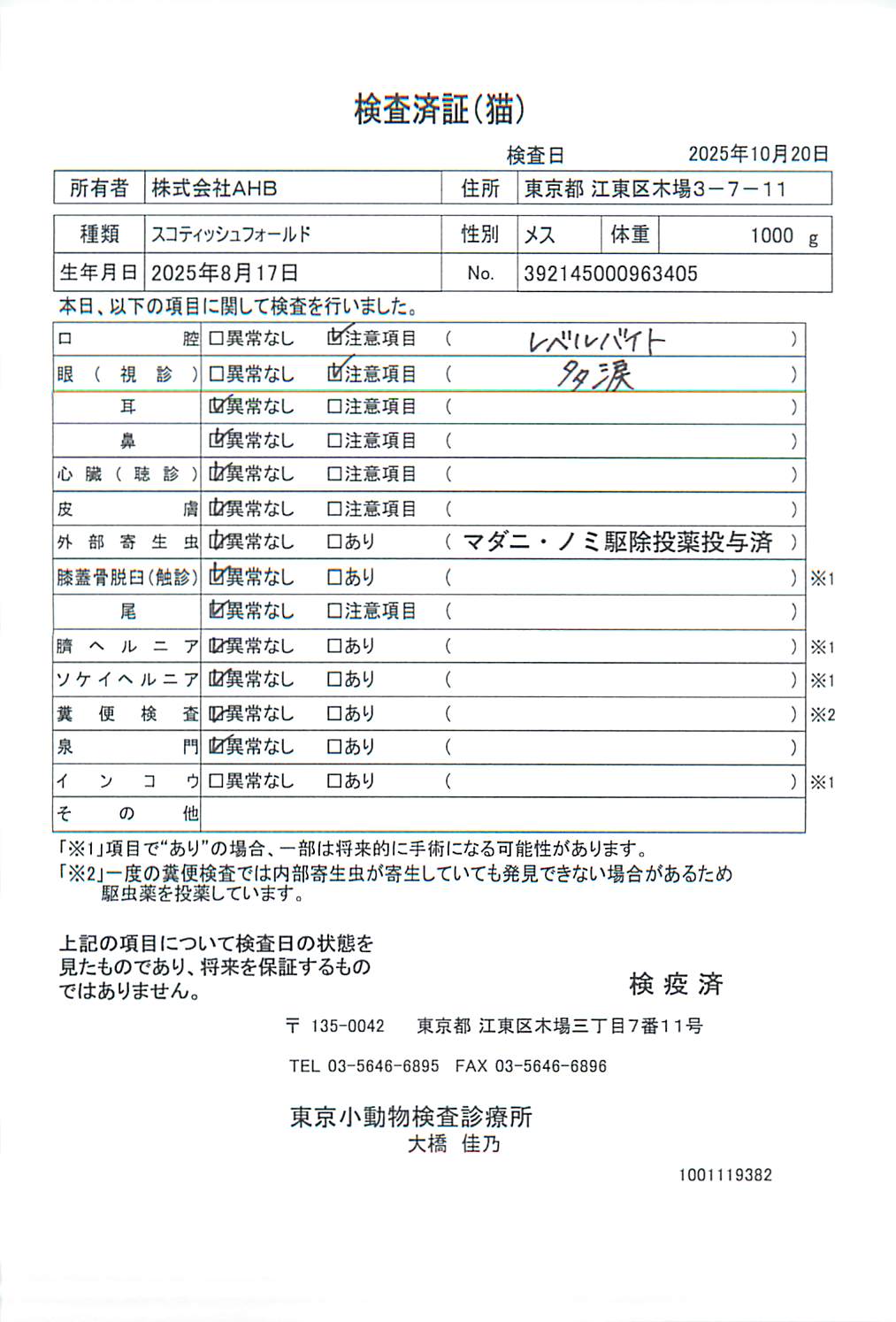 スコティッシュフォールド