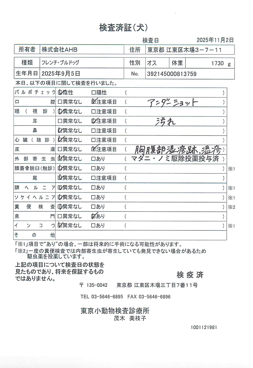 フレンチ・ブルドッグ