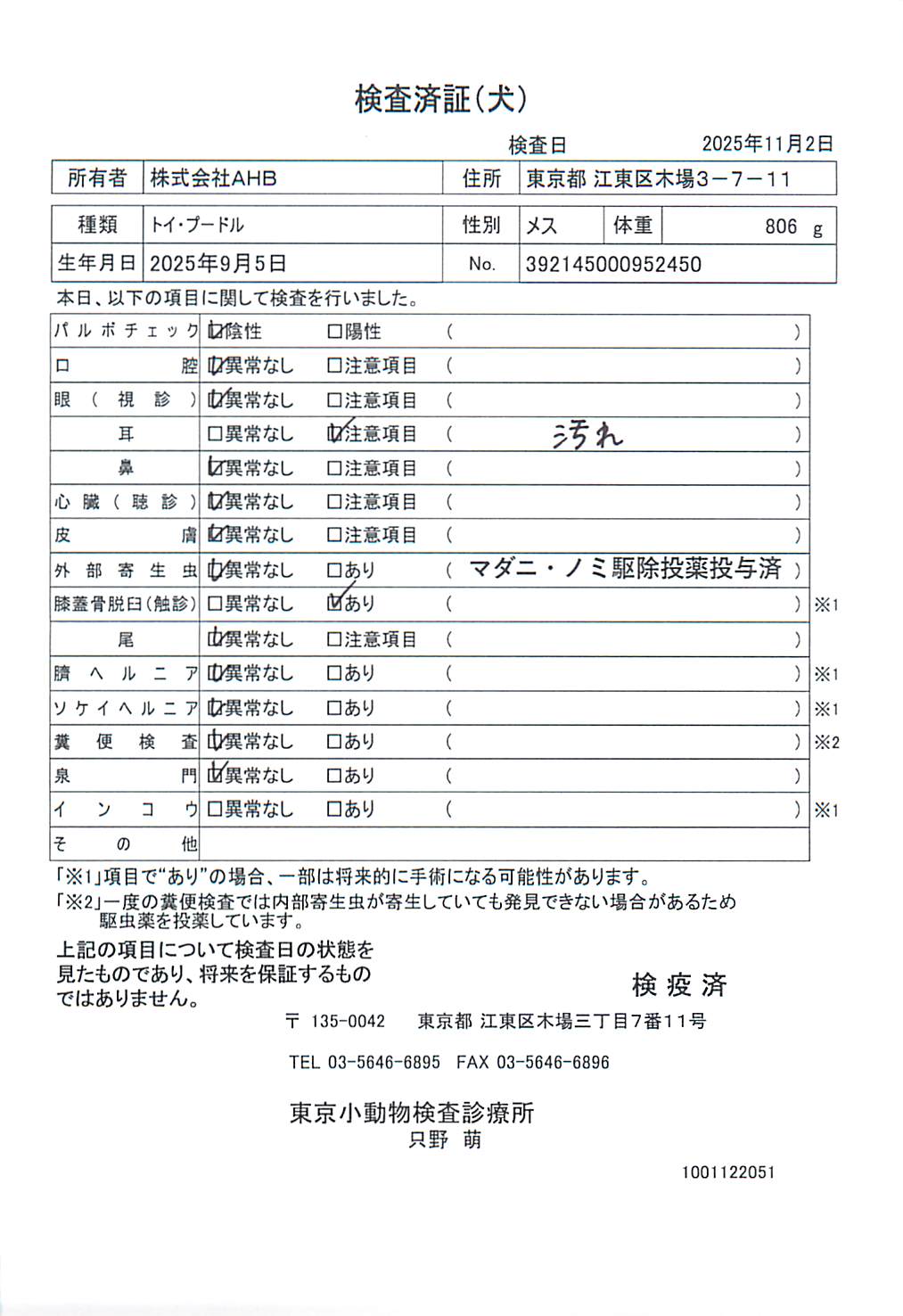 トイ・プードル