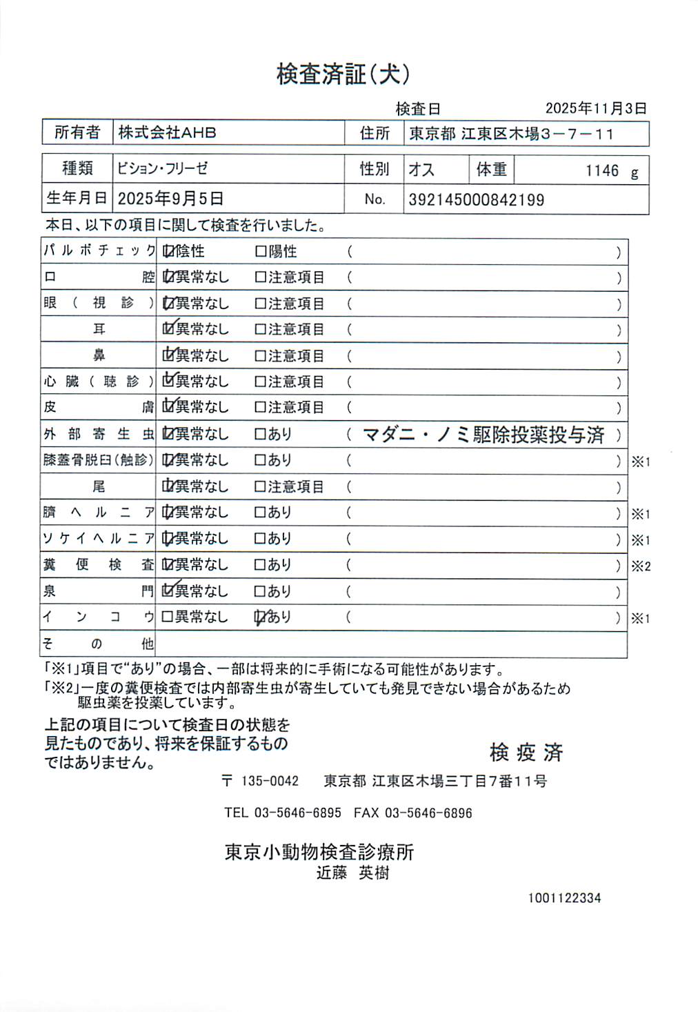 ビション・フリーゼ