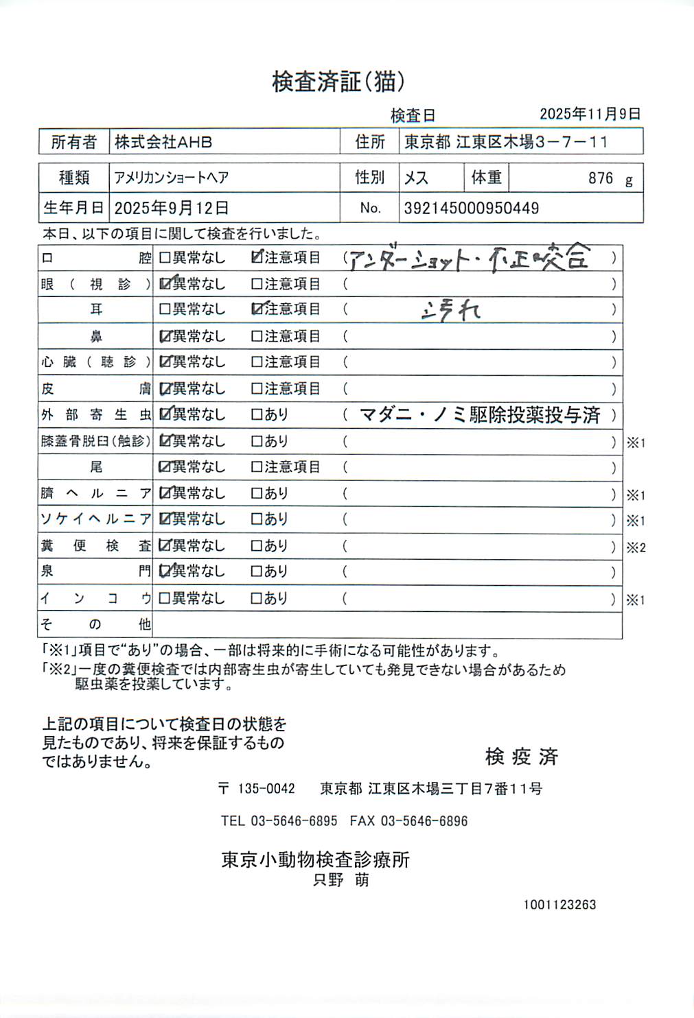 アメリカンショートヘア