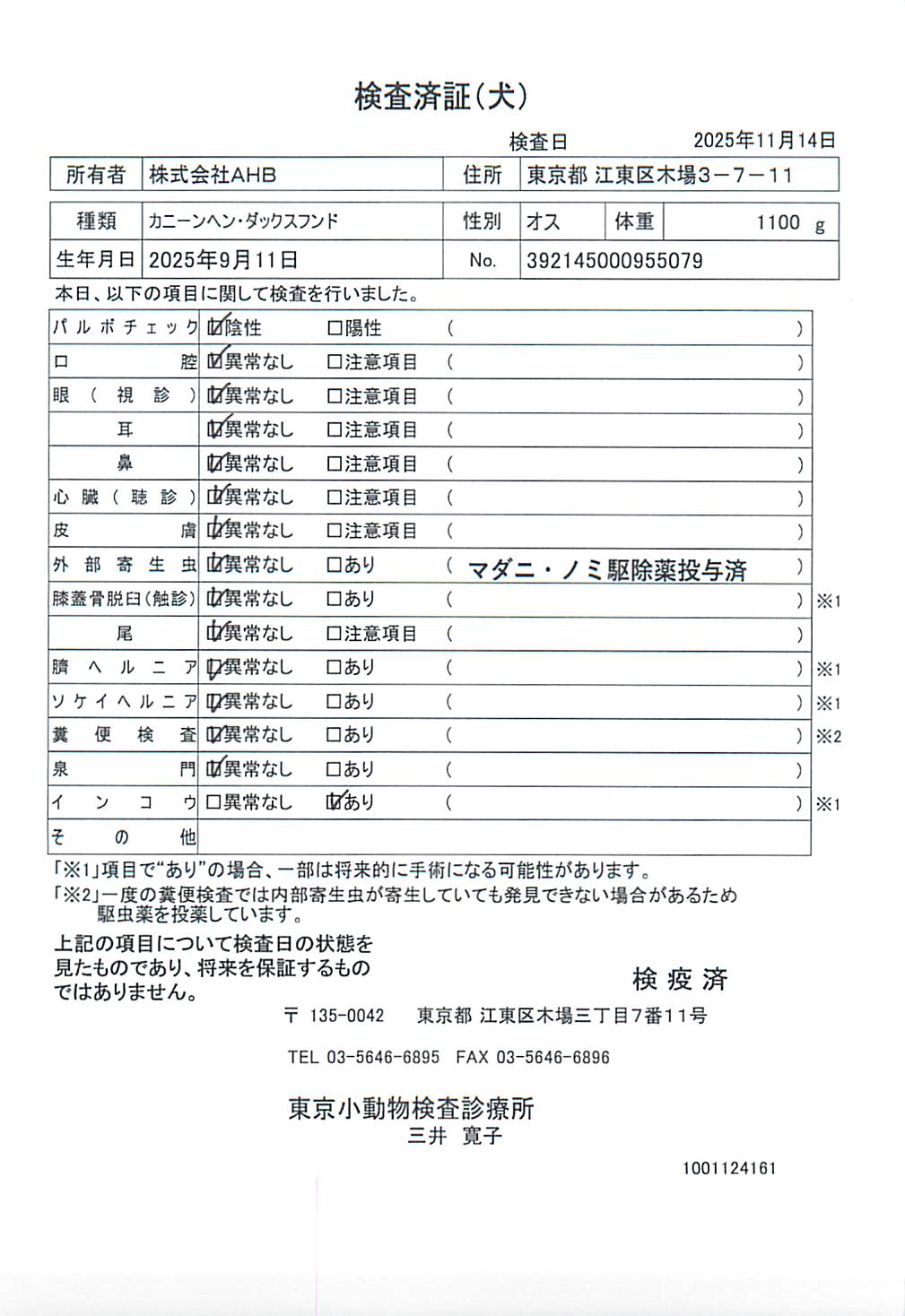 カニーンヘン・ダックスフンド