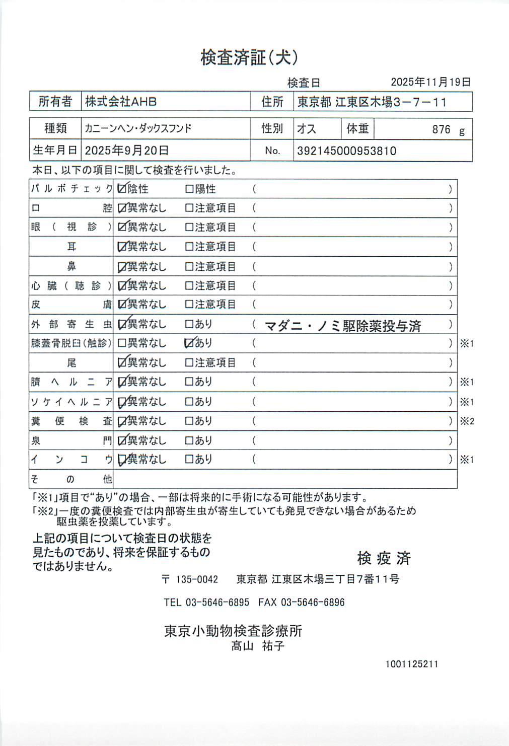 カニーンヘン・ダックスフンド