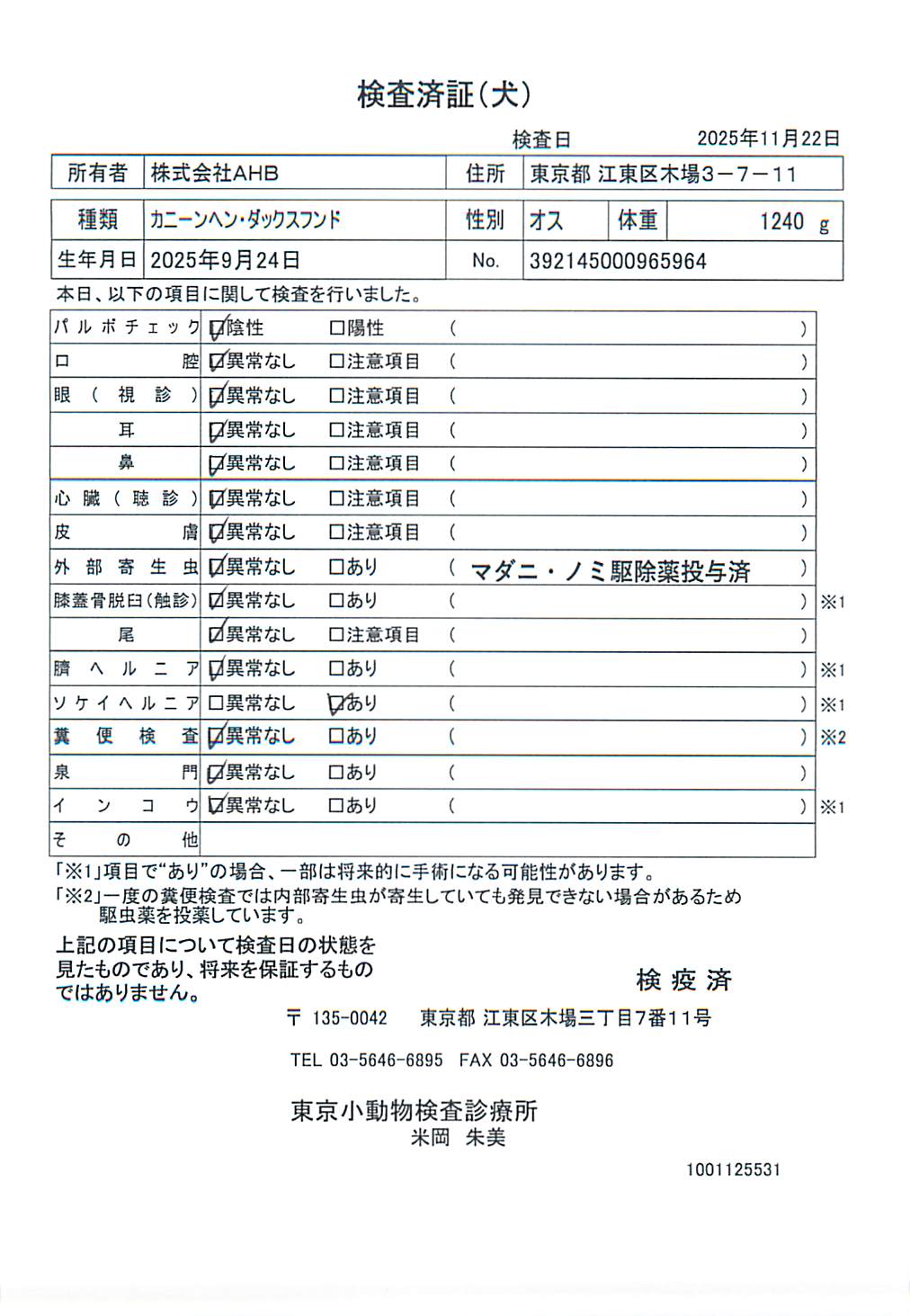 カニーンヘン・ダックスフンド