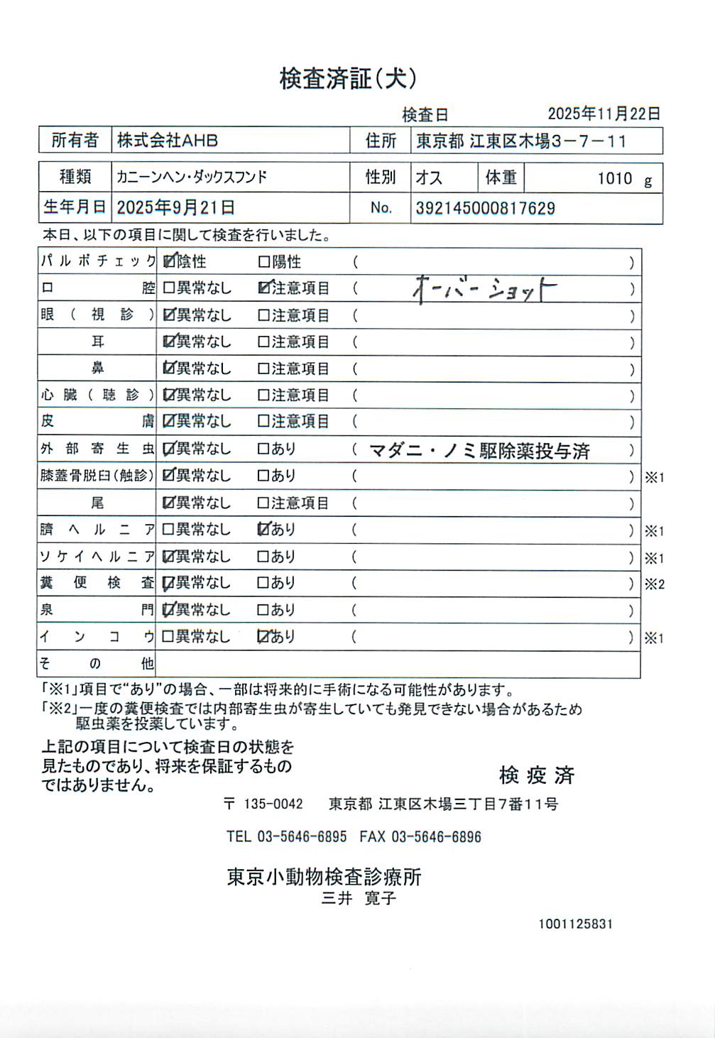 カニーンヘン・ダックスフンド