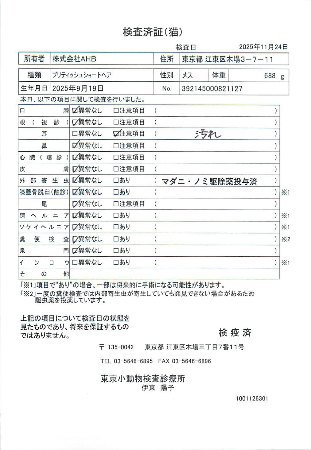 ブリティッシュショートヘア