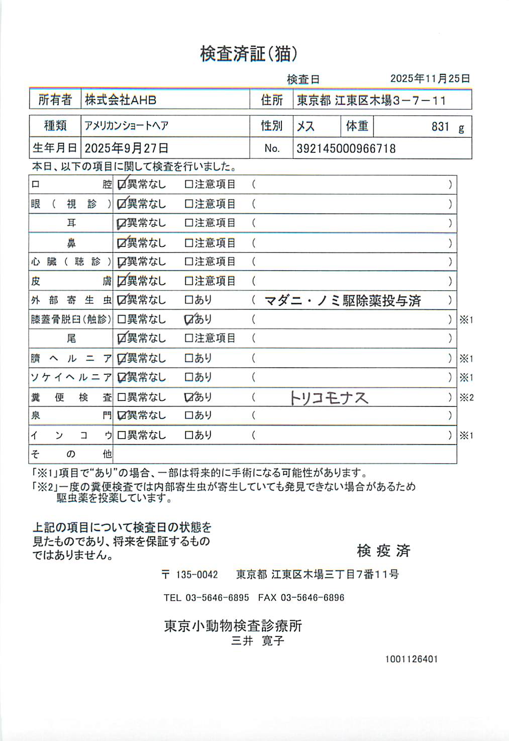 アメリカンショートヘア