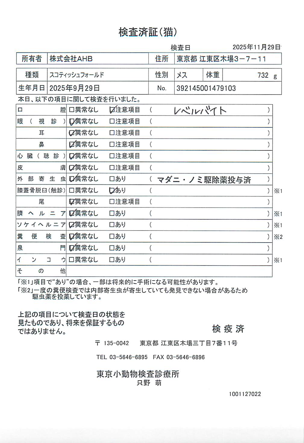 スコティッシュフォールド