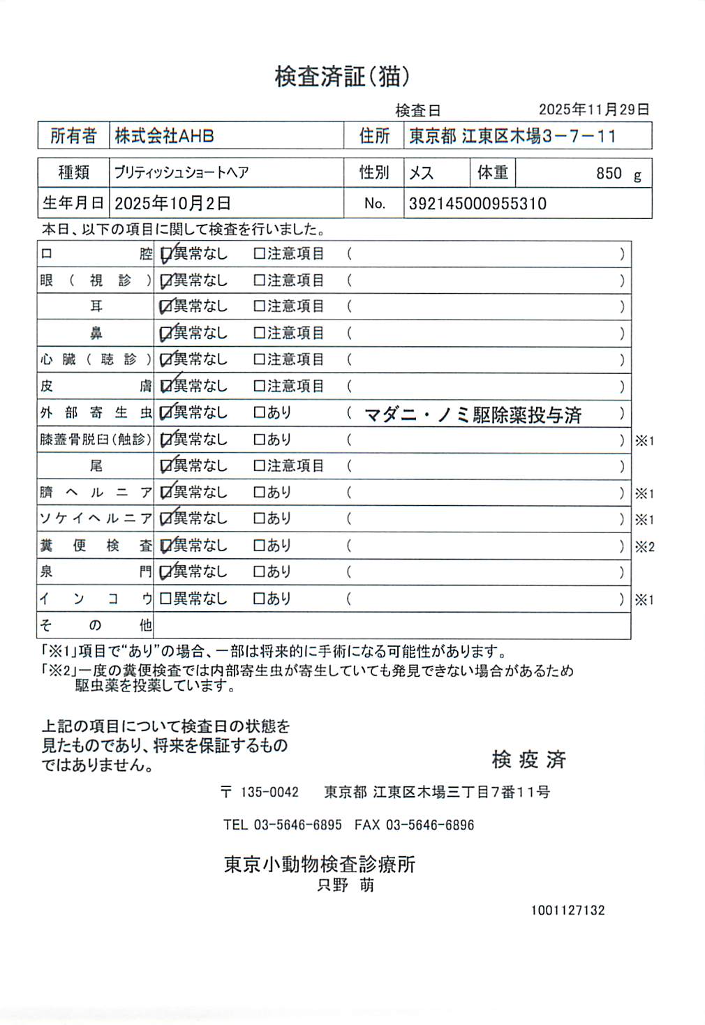 ブリティッシュショートヘア