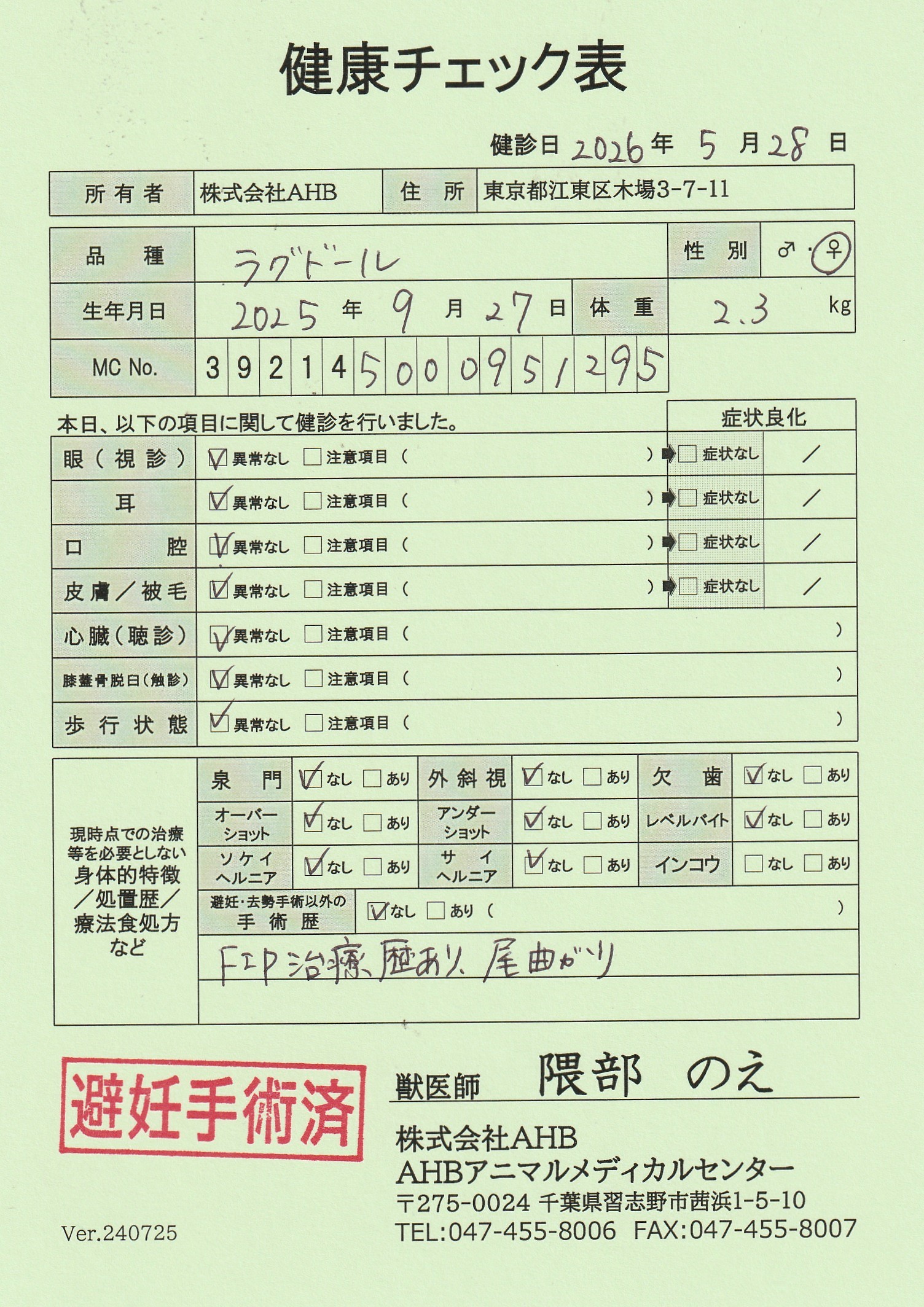 ラグドール
