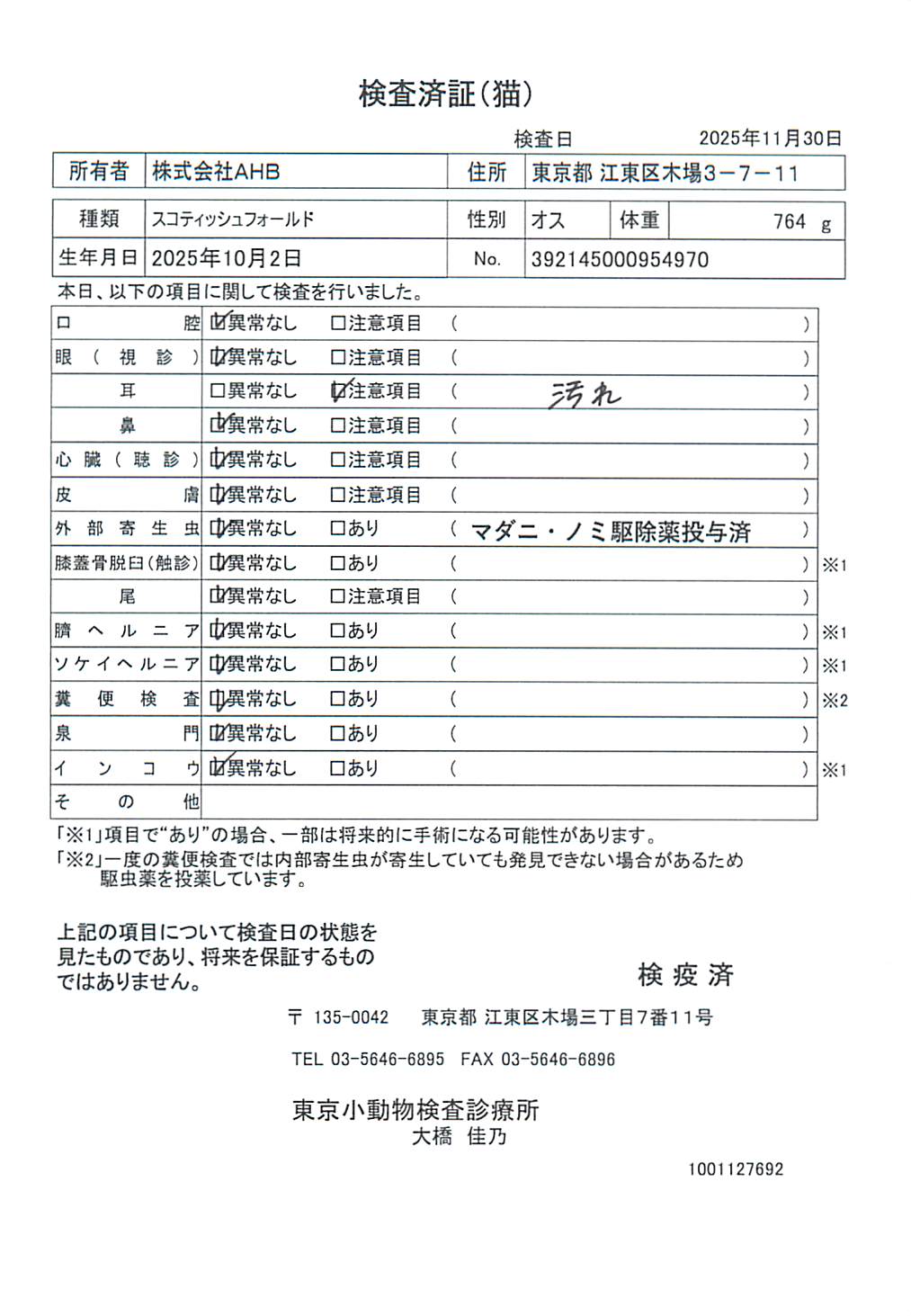 スコティッシュフォールド