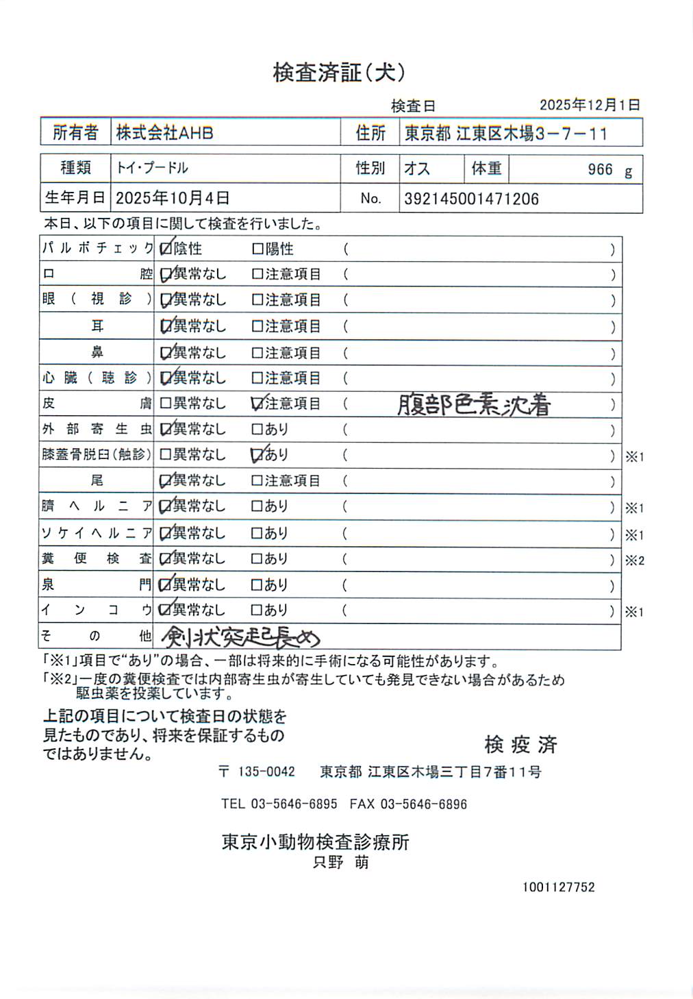 トイ・プードル