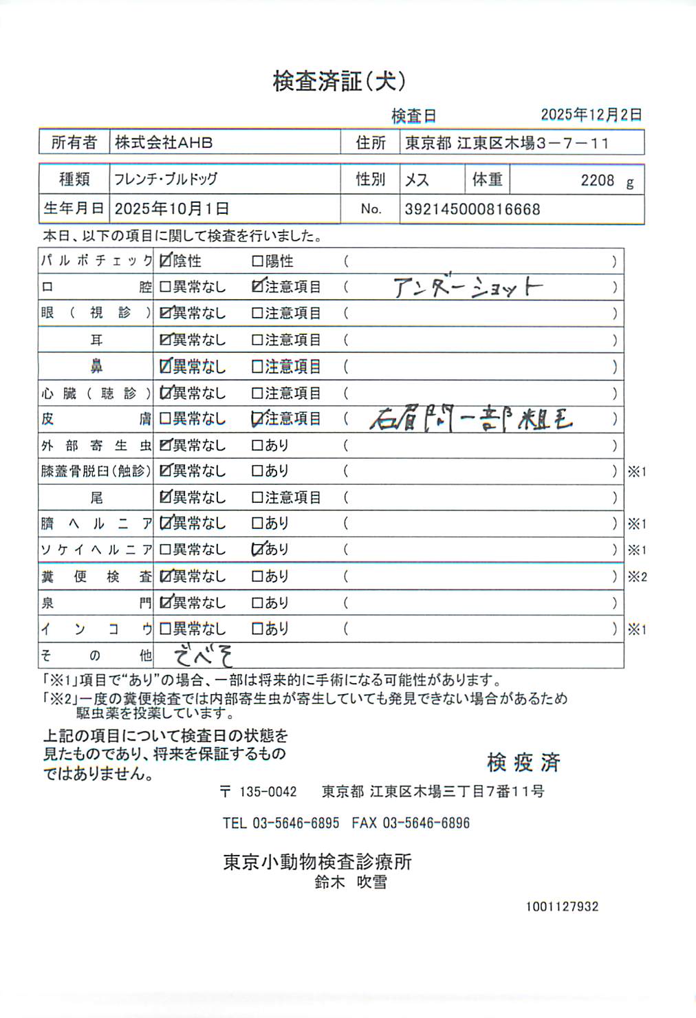 フレンチ・ブルドッグ