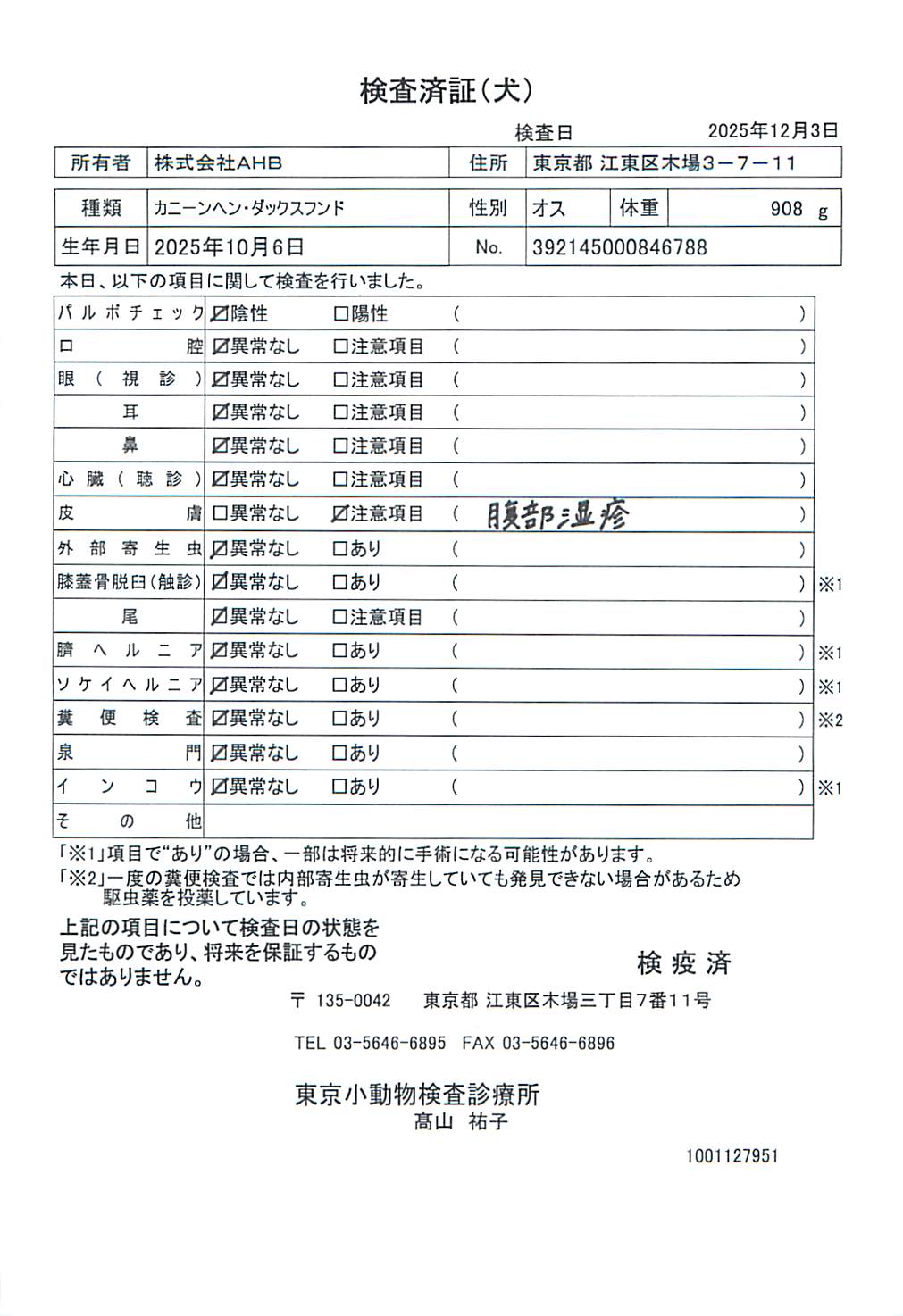 カニーンヘン・ダックスフンド